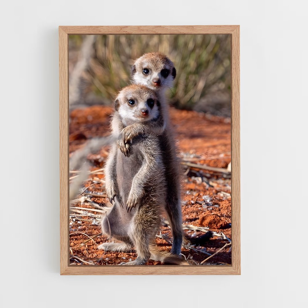 ap-meerkat-12 cadre Bois clair
