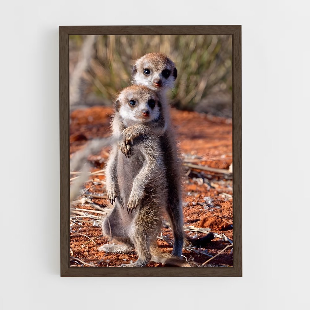 ap-meerkat-12 cadre Bois foncé