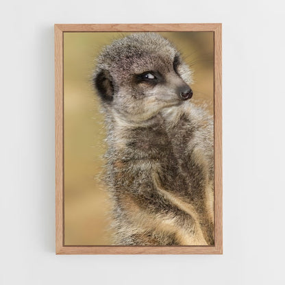 ap-meerkat-14 cadre Bois clair