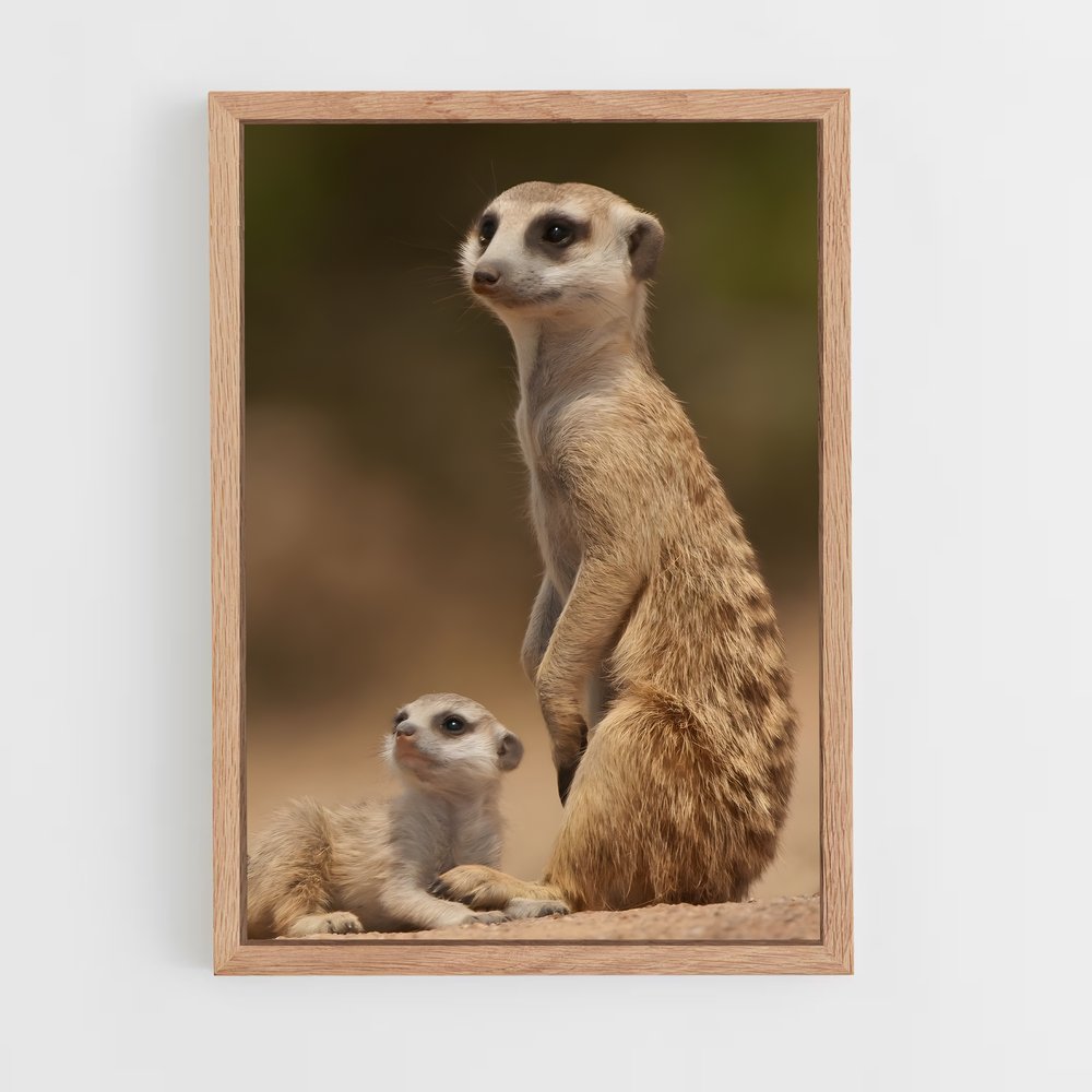 ap-meerkat-2 cadre Bois clair