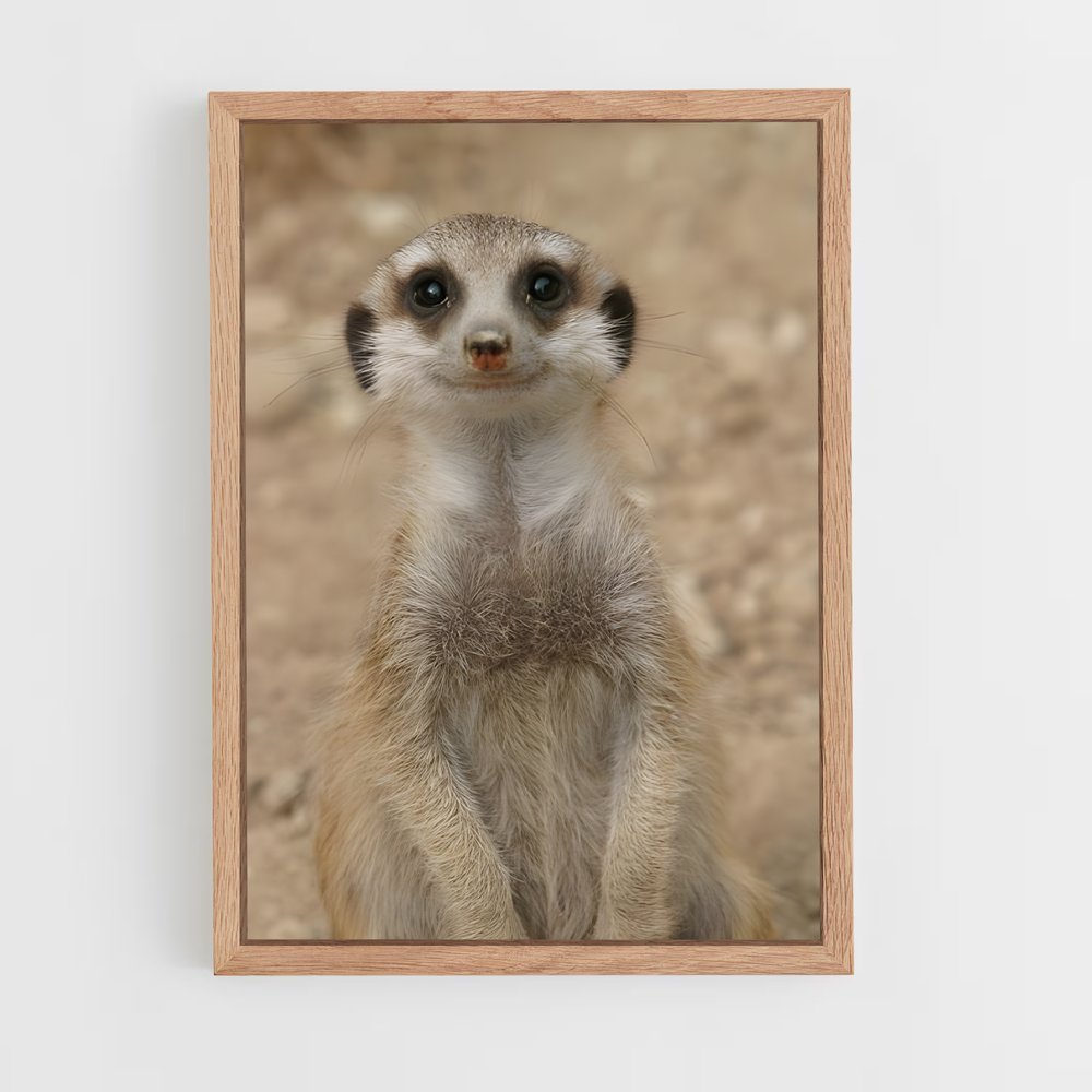 ap-meerkat-4 cadre Bois clair