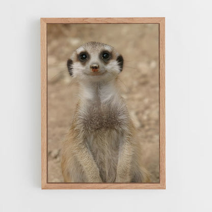ap-meerkat-4 cadre Bois clair