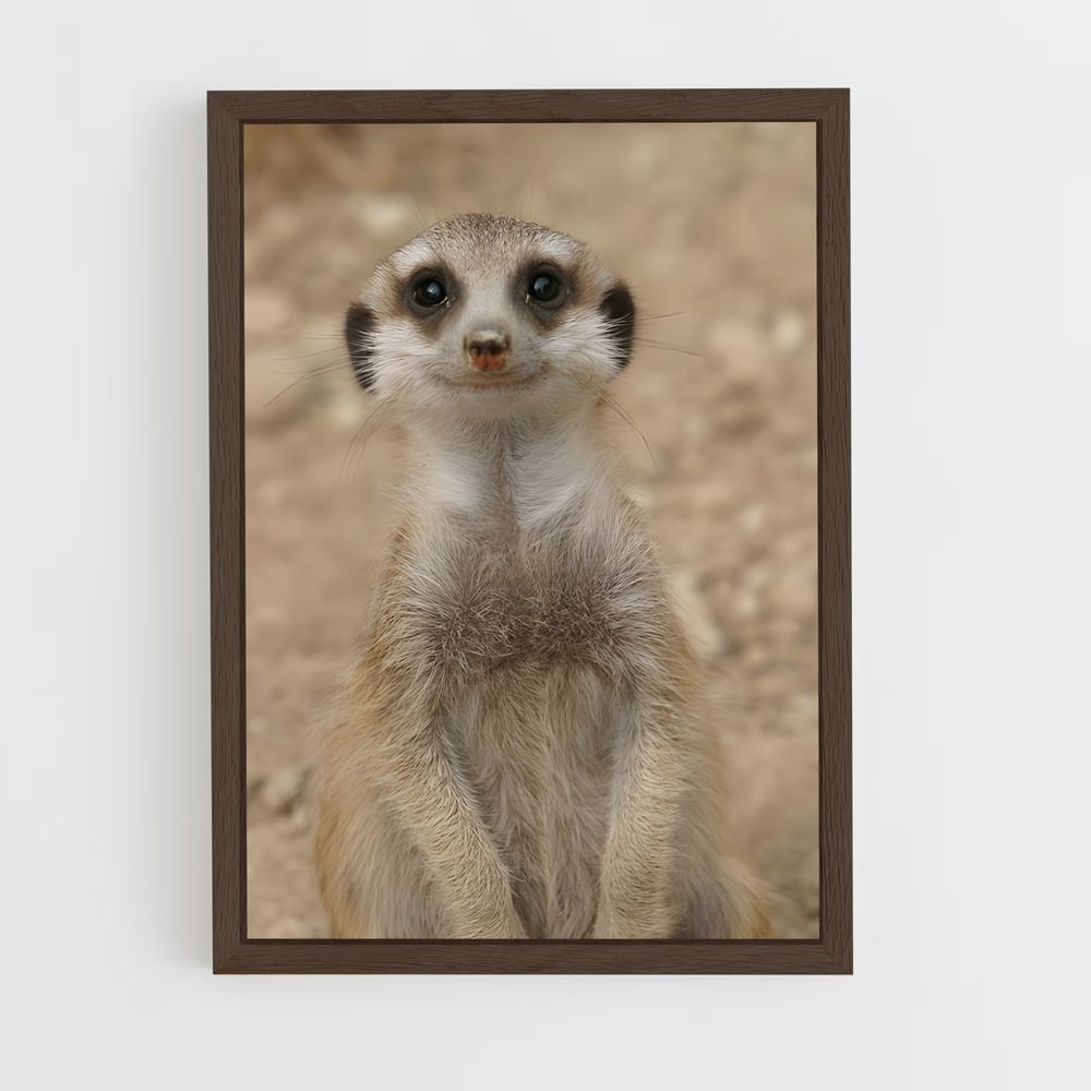 ap-meerkat-4 cadre Bois foncé
