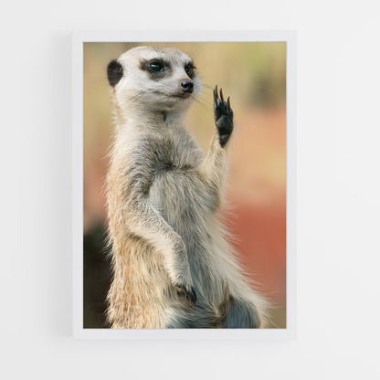 ap-meerkat-7 cadre Blanc