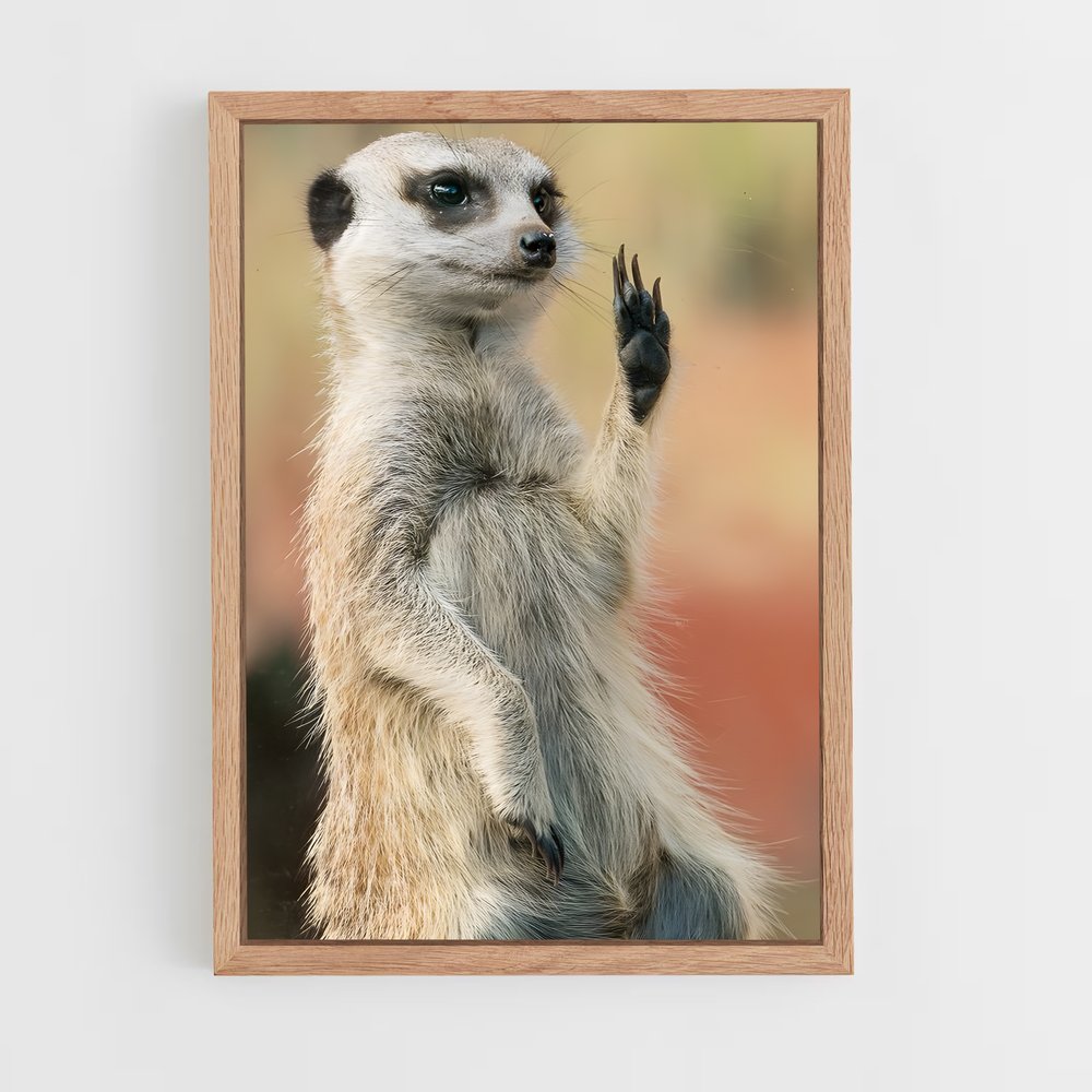 ap-meerkat-7 cadre Bois clair