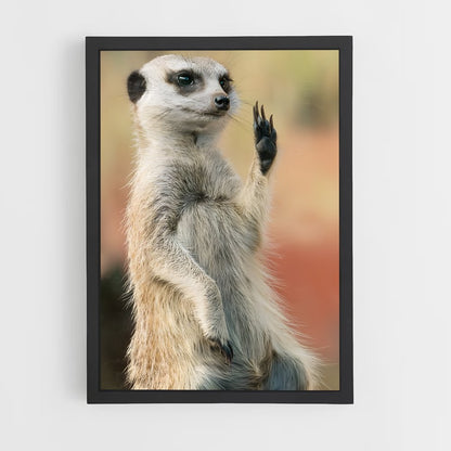 ap-meerkat-7 cadre Noir