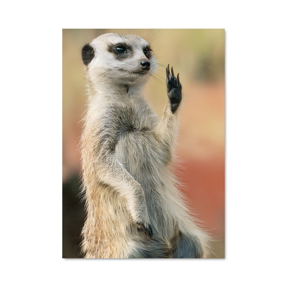 Poster Surveillant Svelte