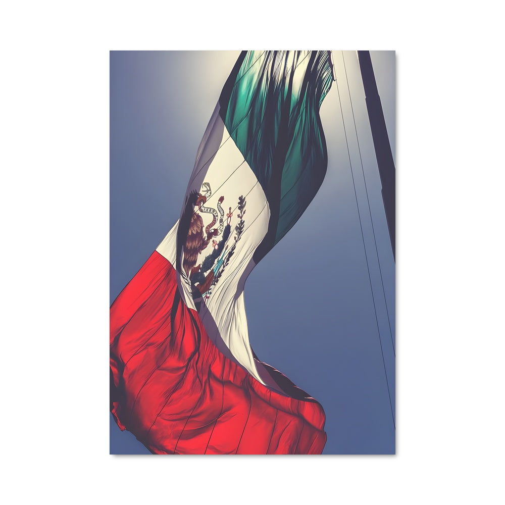 Poster Volez avec le Drapeau