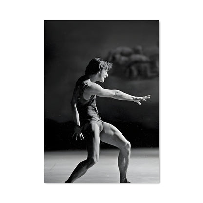 Poster Mikhail baryshnikov 65636