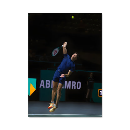 Poster Ace de Raonic