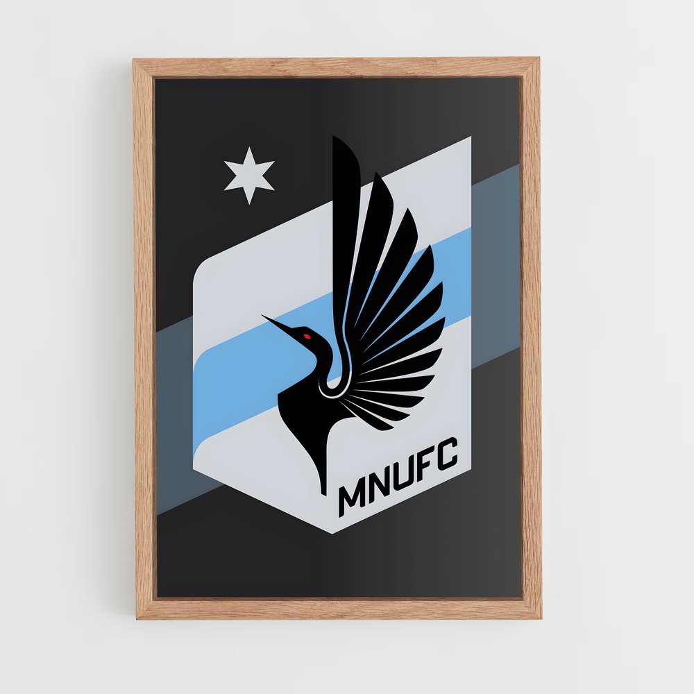 ap-minnesota united fc-1 cadre Bois clair
