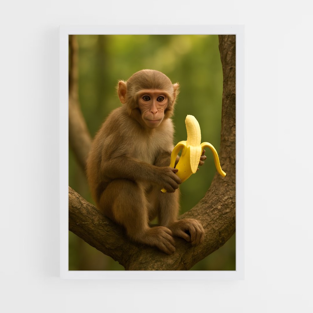 ap-monkey-1 cadre Blanc
