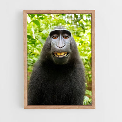 ap-monkey-2 cadre Bois clair