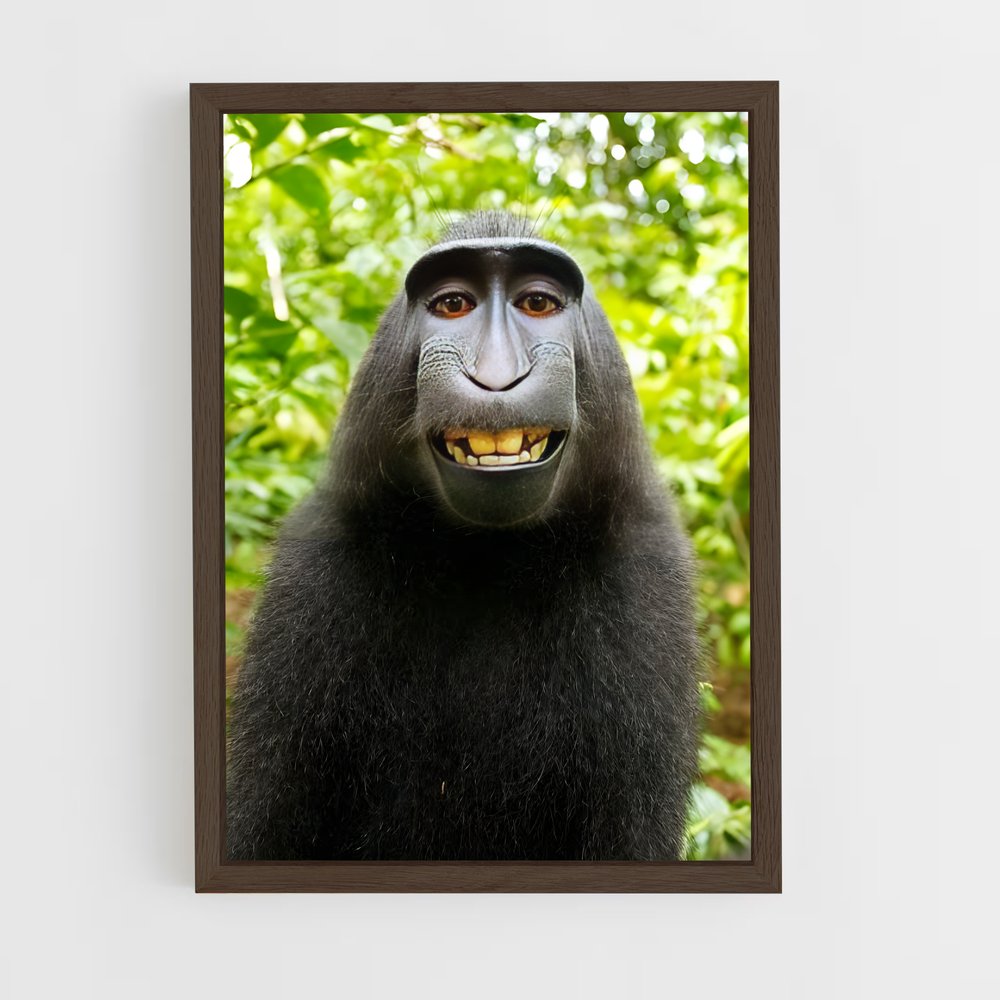 ap-monkey-2 cadre Bois foncé