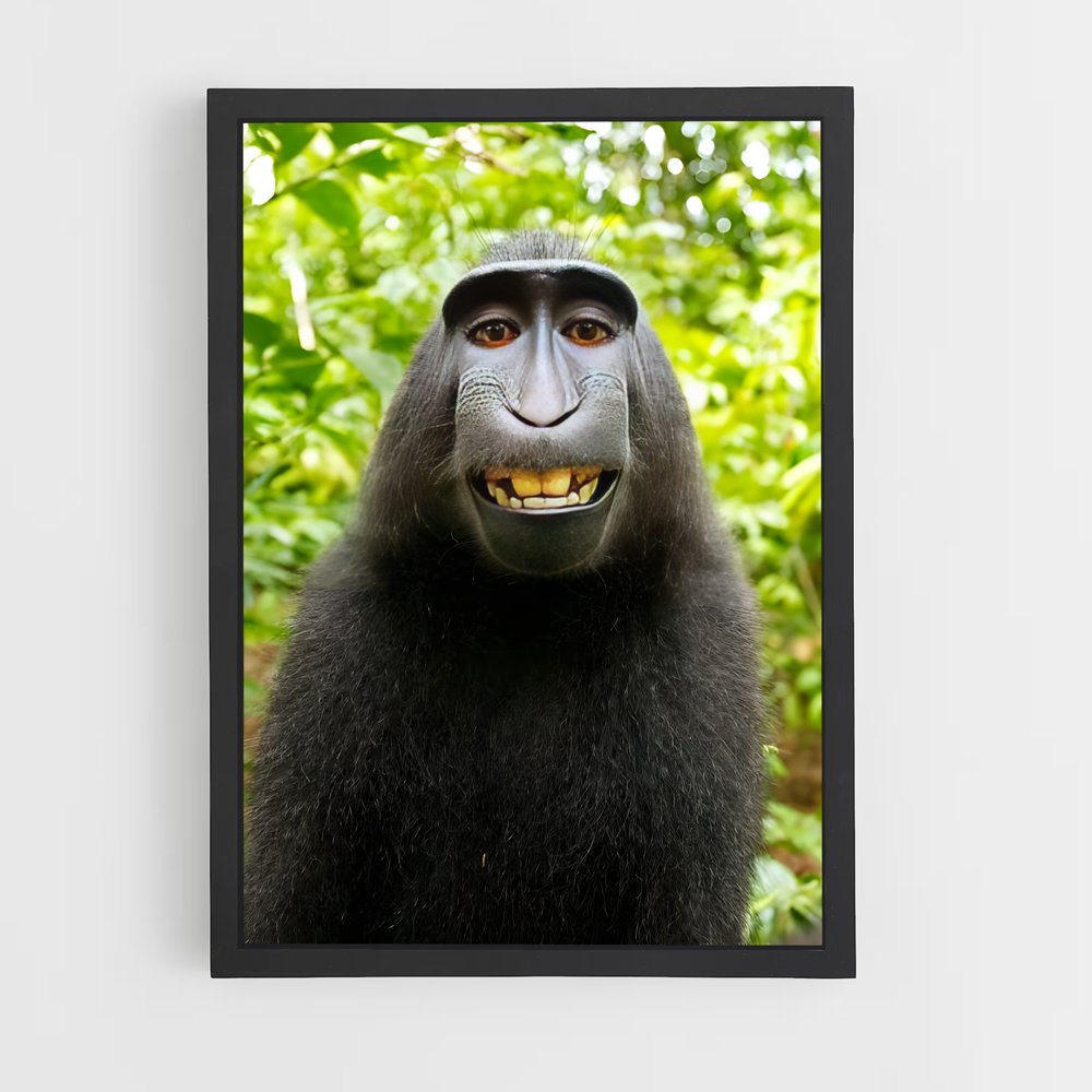 ap-monkey-2 cadre Noir