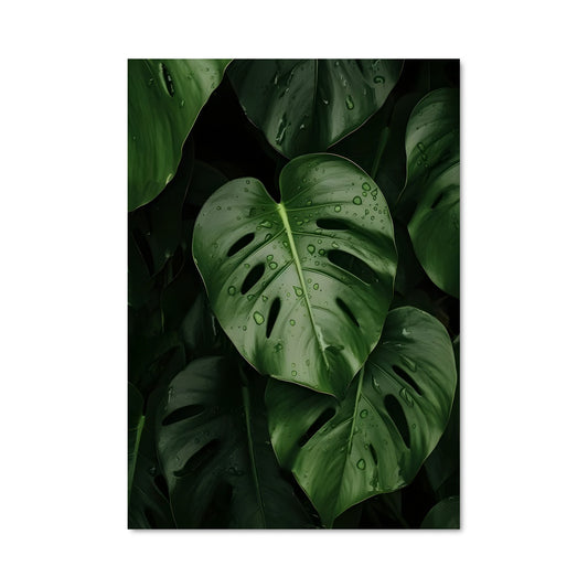 Poster Pluie de Verdeur