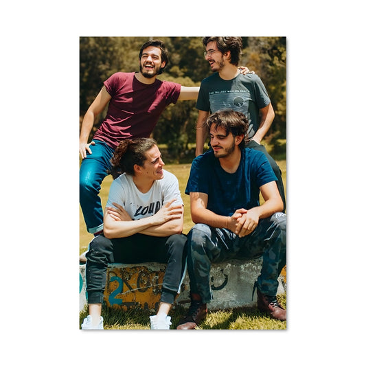 Poster Vamps en Scène