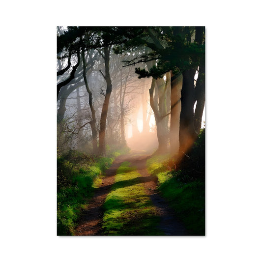 Poster Sentiers Brumeux