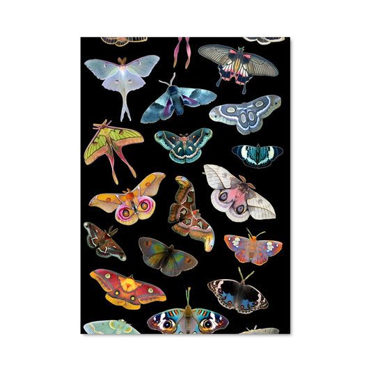 Poster Dans l'Ombre des Papillons