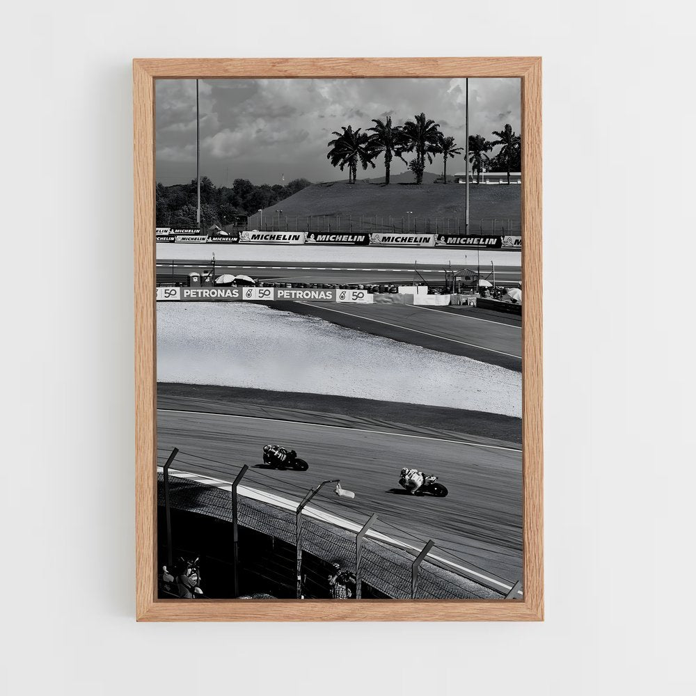 ap-motogp circuits-4 cadre Bois clair