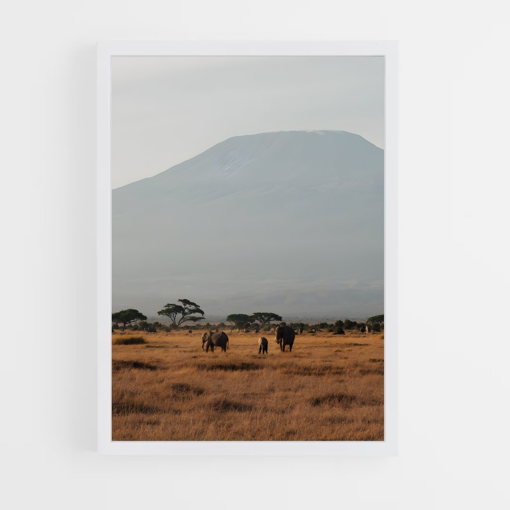 ap-mount kenya-3 cadre Blanc