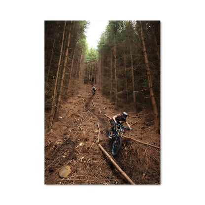Poster Ride in the Wild