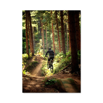 Poster Riders of the Wild