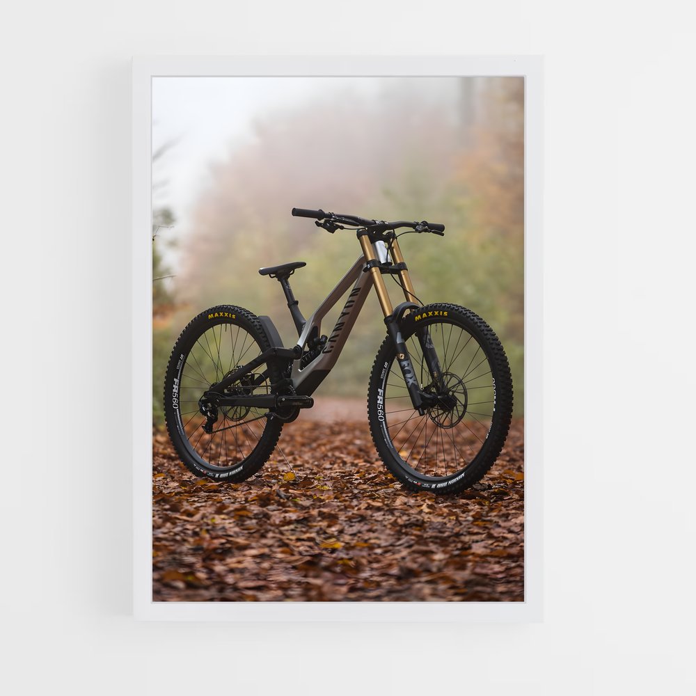 ap-mountain biking-6 cadre Blanc