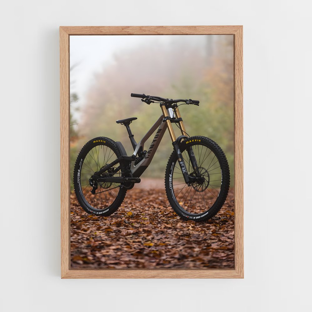 ap-mountain biking-6 cadre Bois clair