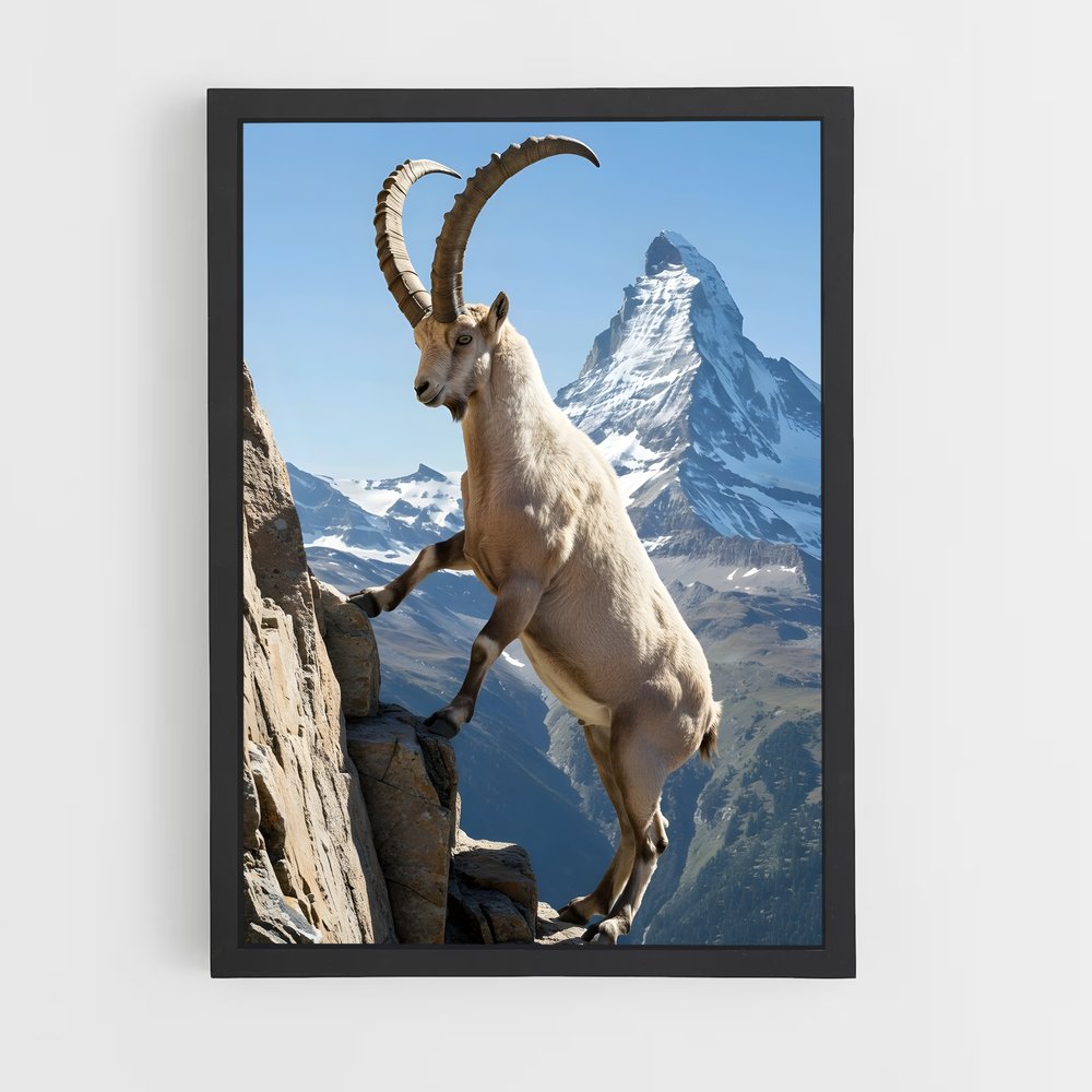 ap-mountain goat-1 cadre Noir