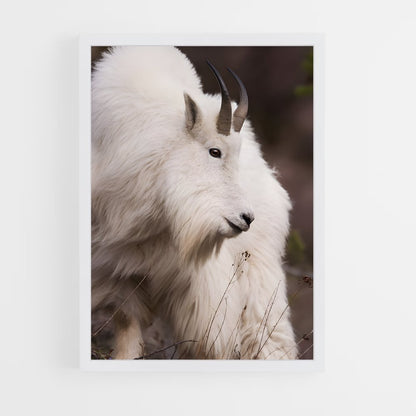ap-mountain goat-10 cadre Blanc