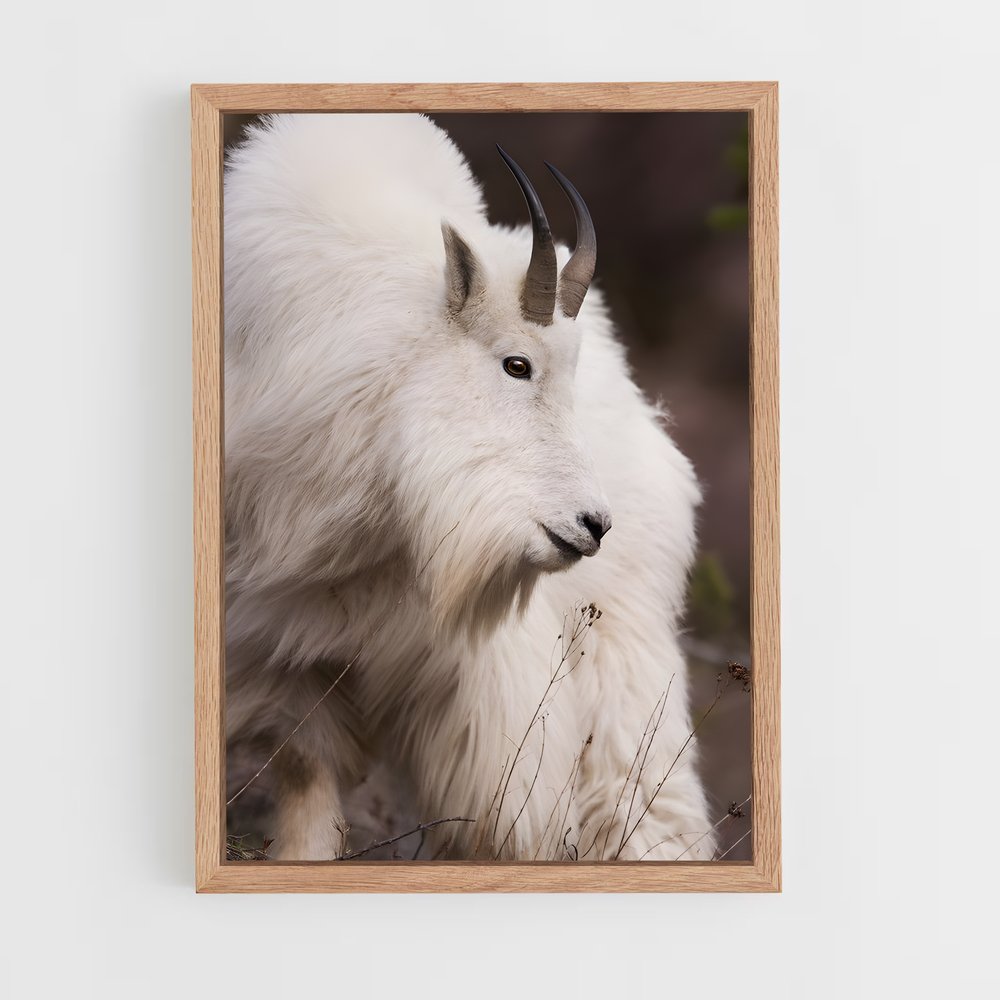 ap-mountain goat-10 cadre Bois clair