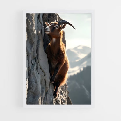 ap-mountain goat-11 cadre Blanc