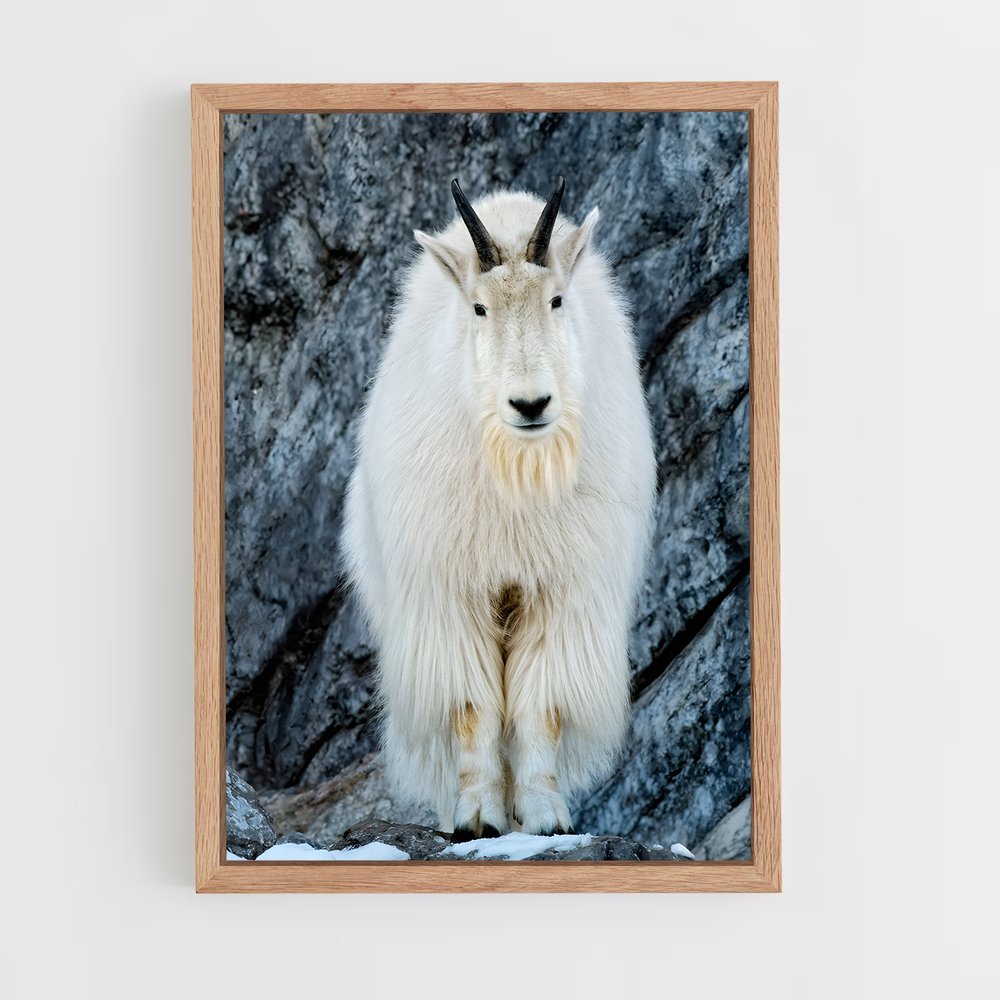 ap-mountain goat-5 cadre Bois clair
