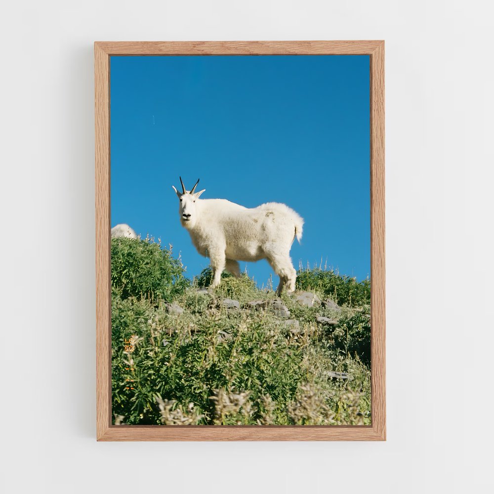 ap-mountain goat-9 cadre Bois clair