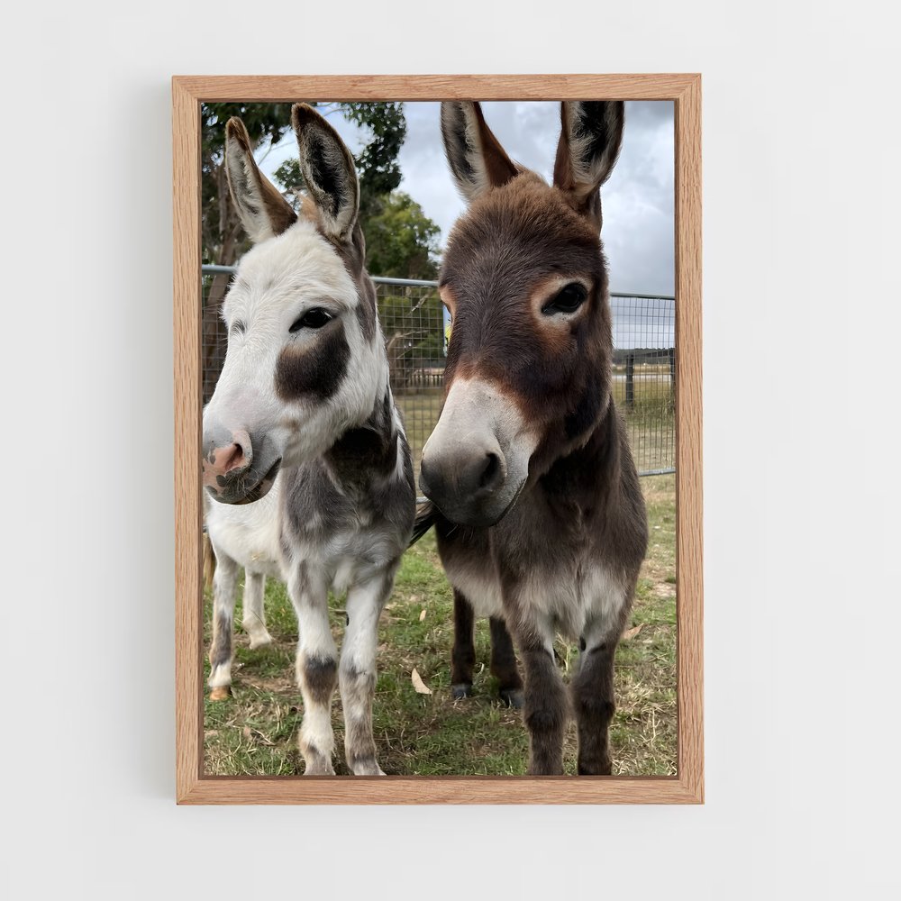 ap-mule-1 cadre Bois clair