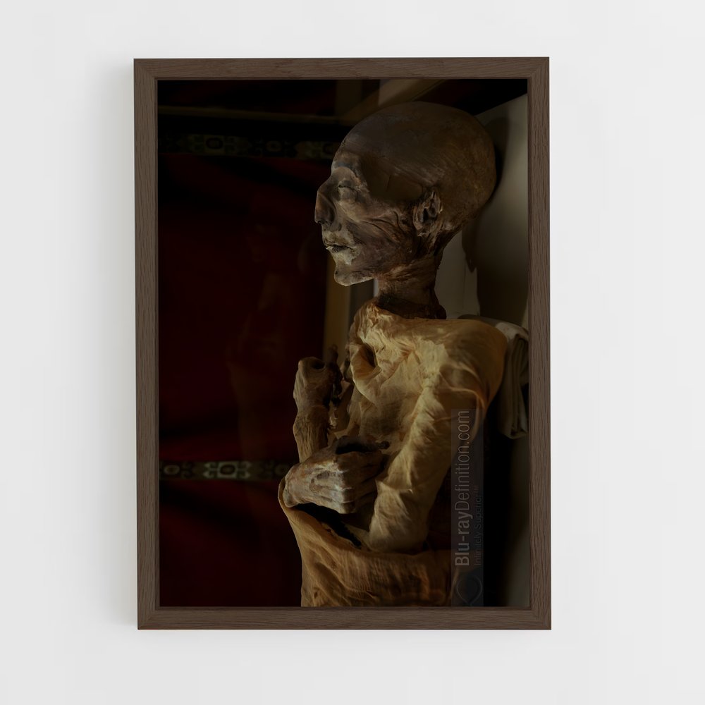 ap-mummy-5 cadre Bois foncé