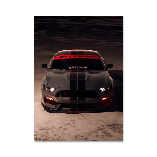 Poster Ombres de Mustang