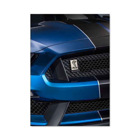 Poster Mustang Mystique