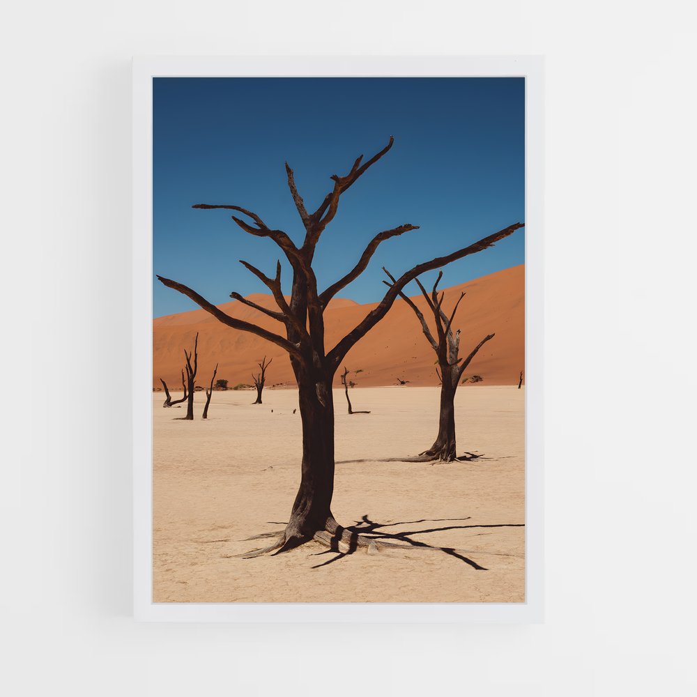 ap-namibia-2 cadre Blanc