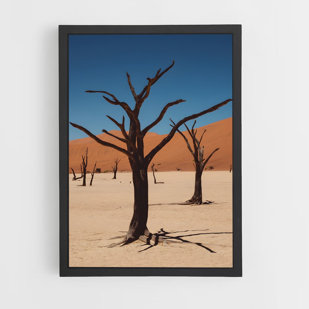 ap-namibia-2 cadre Noir