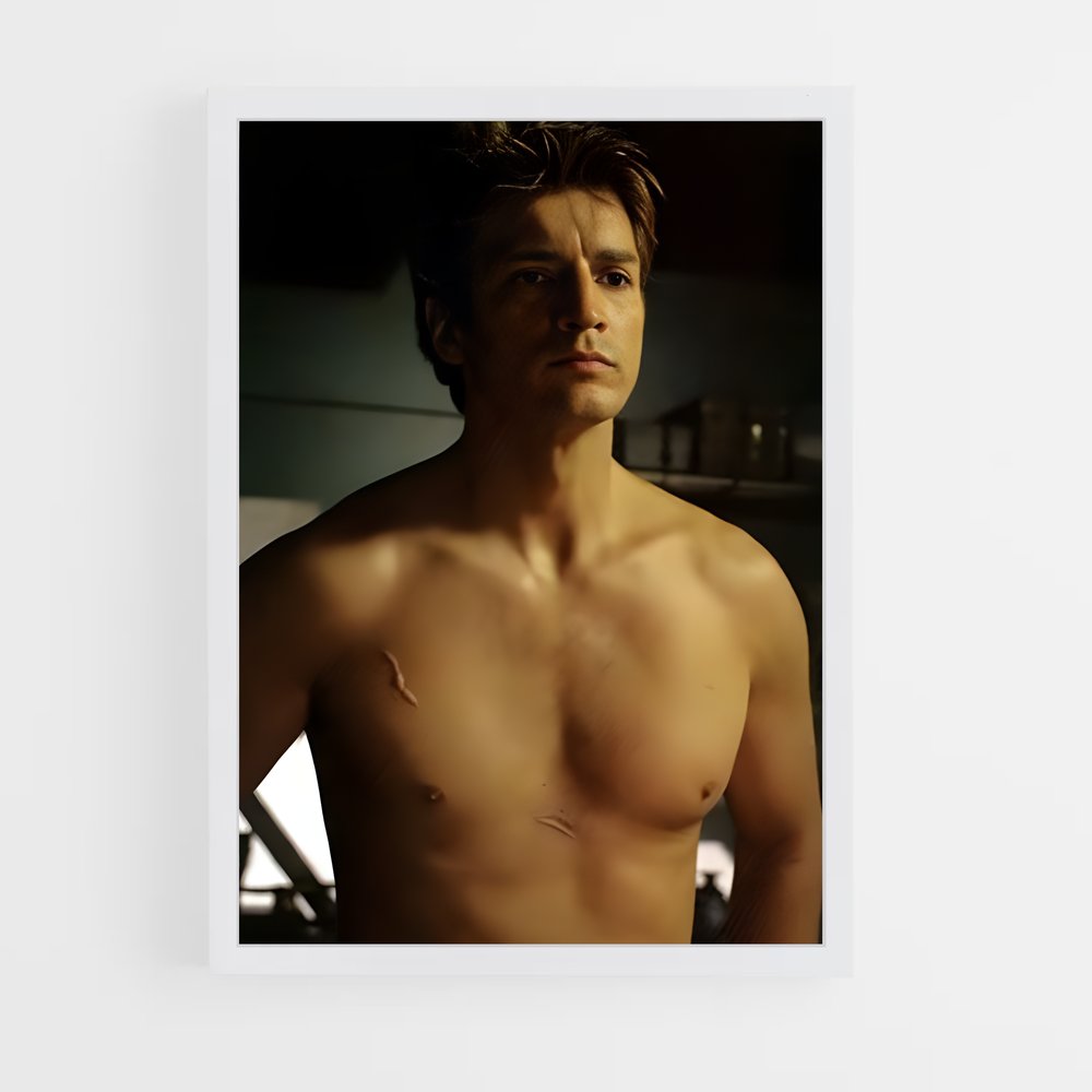 ap-nathan fillion-1 cadre Blanc