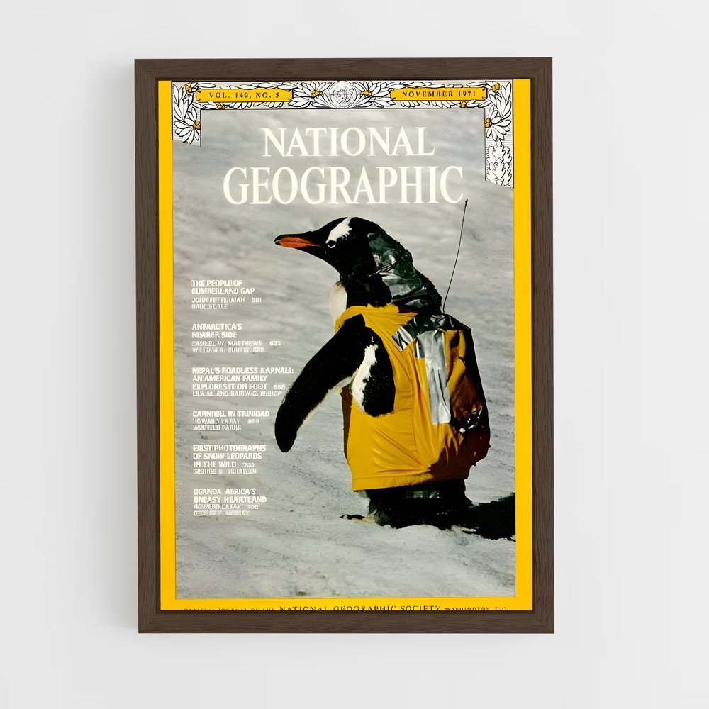 ap-national geographic-1 cadre Bois foncé
