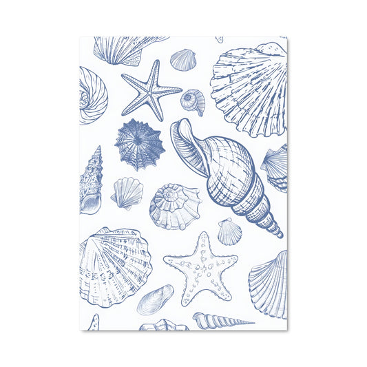Poster Coquillages Marins