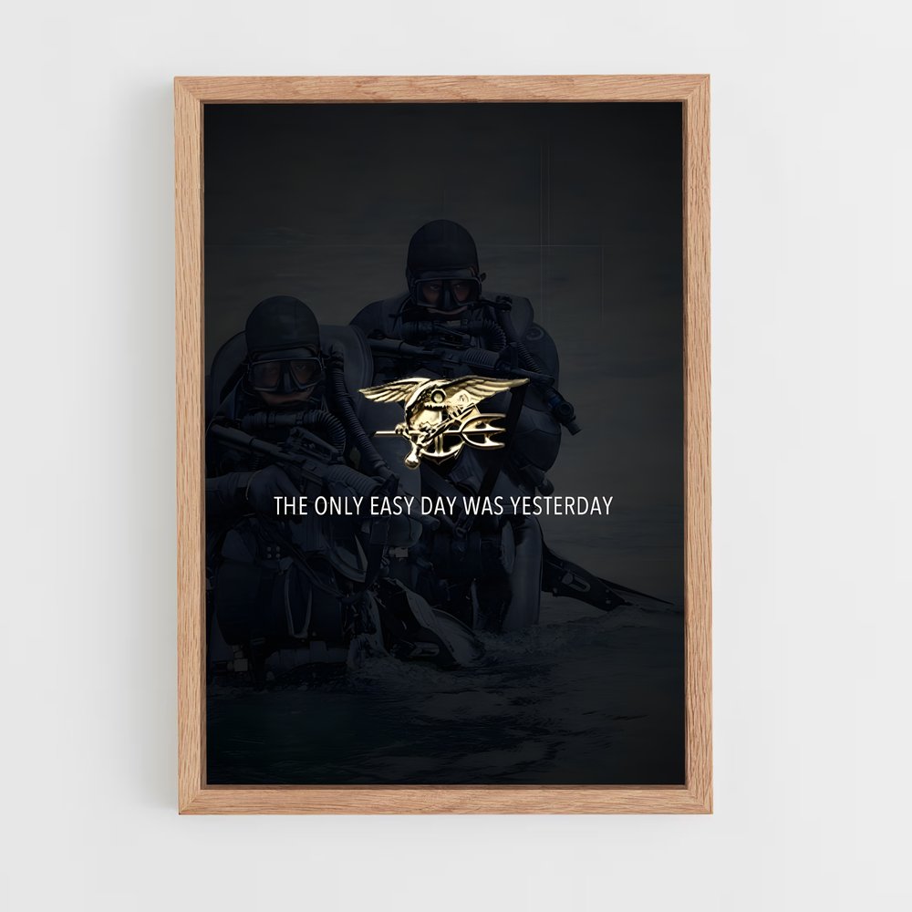 ap-navy seal-6 cadre Bois clair