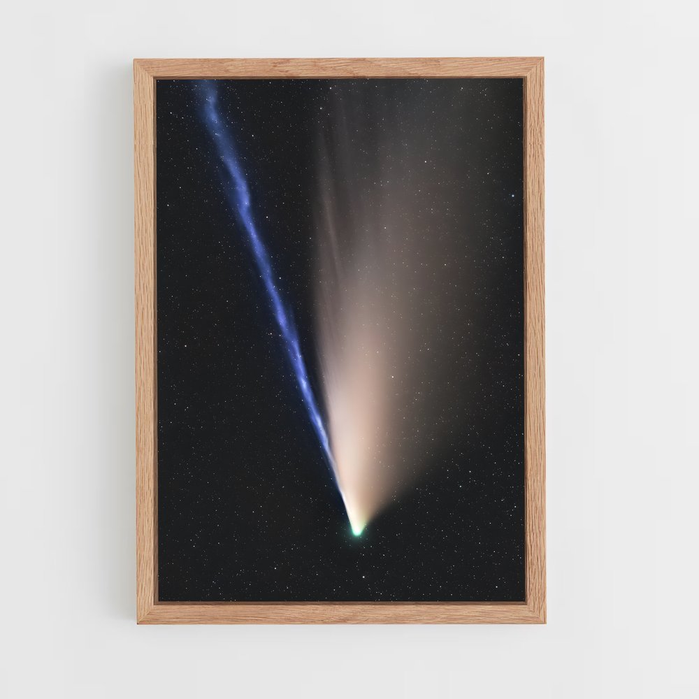 ap-neowise-1 cadre Bois clair