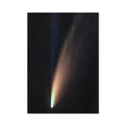 Poster Neowise 98152