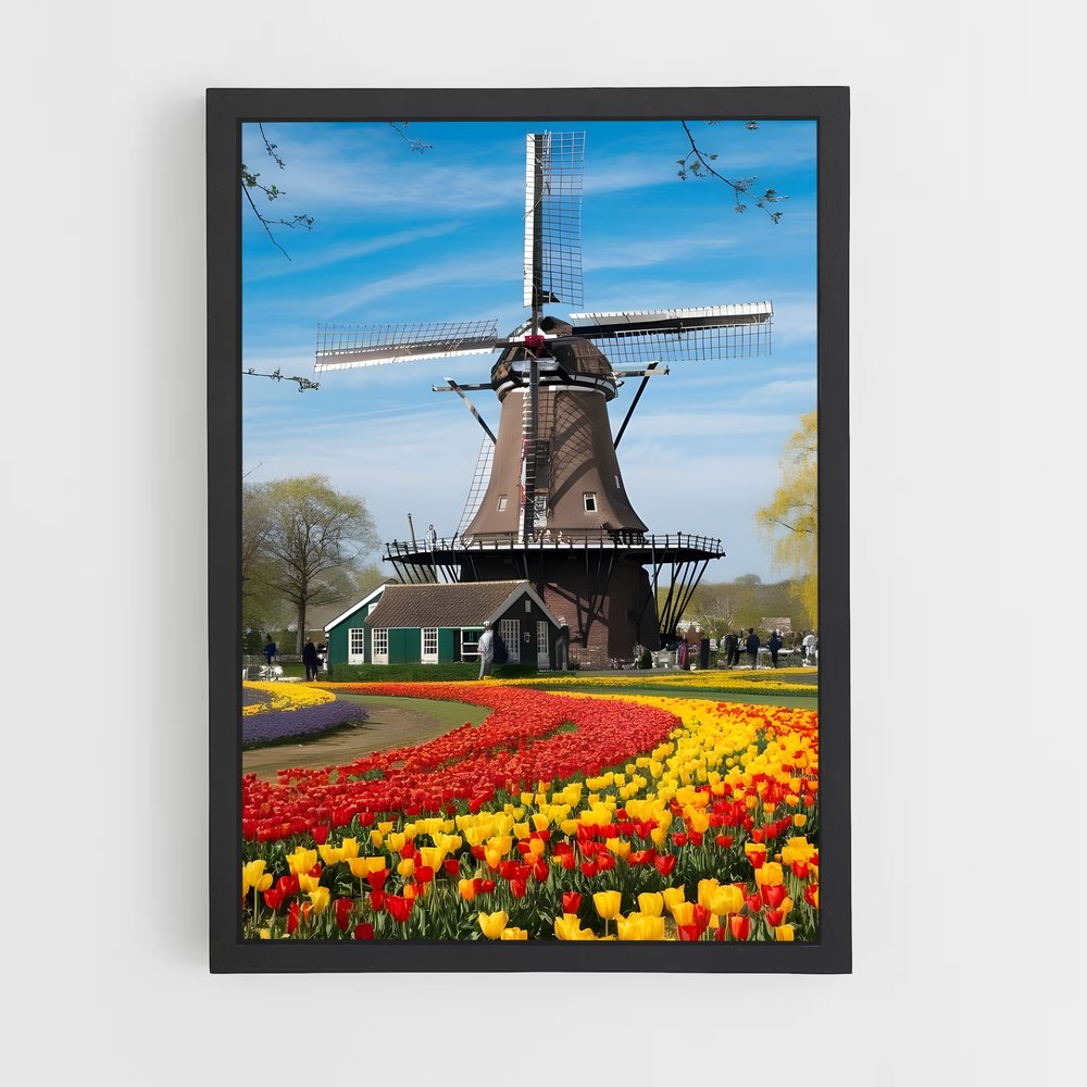 ap-netherlands-7 cadre Noir