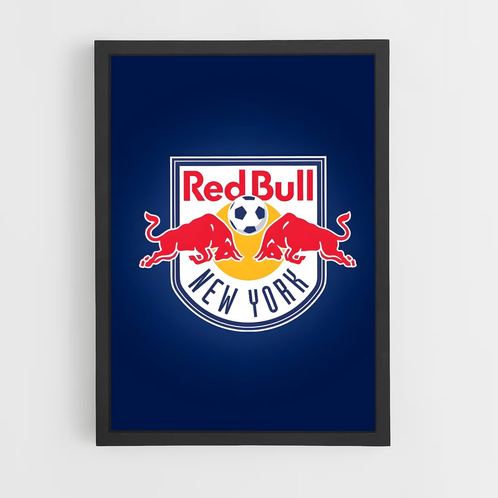 ap-new york red bulls-1 cadre Noir