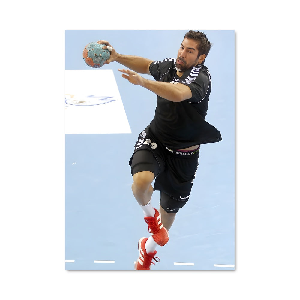 Poster Nikola karabatic 73899